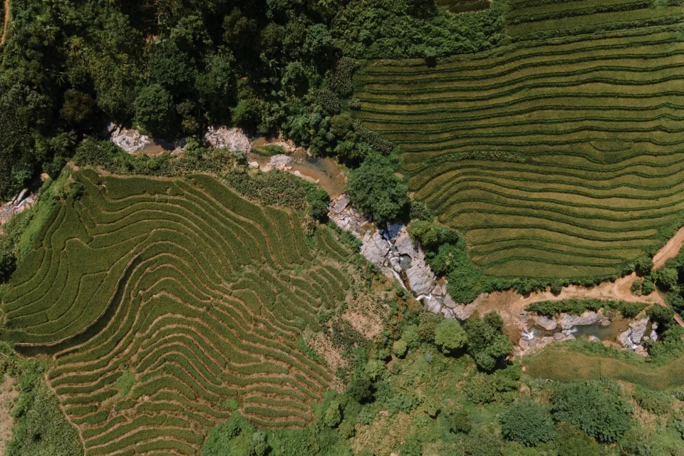 Khu cân gạo cho khách